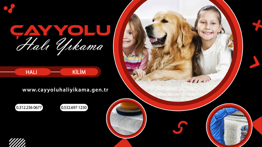 Makine Halısı Yıkama
